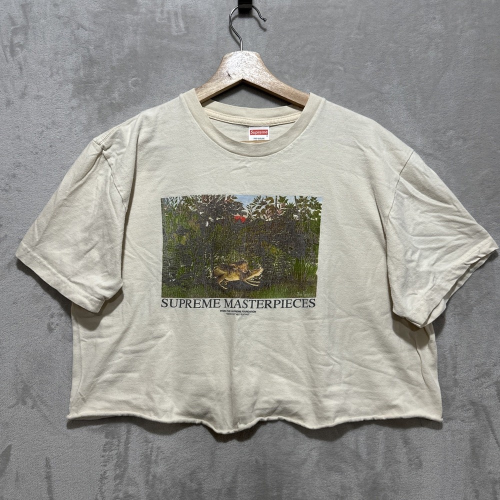 Supreme SS2020 Masterpieces The Supreme Foundation T-Shirt Size L Custom Cropped